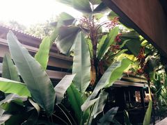 -植物园哈利亚餐厅