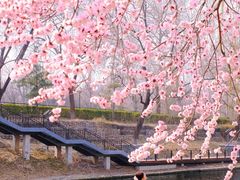 -安定门(地铁站)