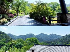 -黄陂区野村谷景区