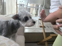 -baby bella小贝拉母婴护理中心(北京东隅店)