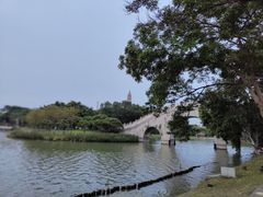 -顺峰山公园