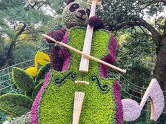 -杭州植物园