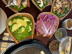 -滇野云南野生菌餐厅(陕西南路店)