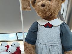 -济州岛泰迪熊博物馆