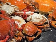 东港飞蟹-乔哥铭洋海鲜自助(皇城恒隆广场店)