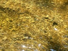 -牛背梁国家森林公园