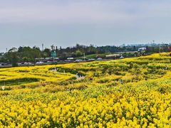 -三圣花乡旅游区