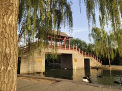 -洛阳市隋唐城遗址植物园