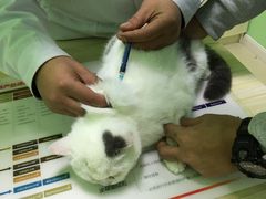 -圣宠动物医院·犬猫专科·影像中心·外科中心