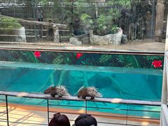 -清迈夜间动物园