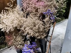 -馬蘭花開(车站大道店)