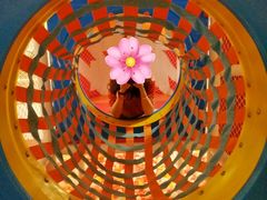 -菲拉拉漫温泉(东环路店)