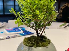 -侨美·唐荔园·40年地道粤菜