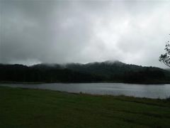 -海南热带雨林国家公园吊罗山景区