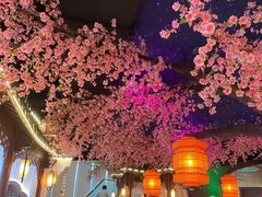 -荷塘秋月·本帮江浙菜(国权路店)