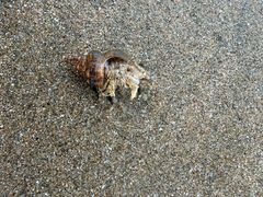 -嵊泗基湖沙滩