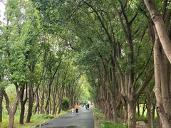 -同里国家湿地公园