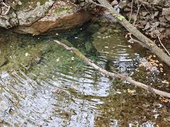 -丹东天桥沟景区