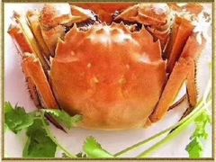 -明华大酒店·餐饮