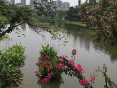 -东岳体育公园