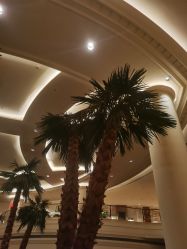 -上海万豪虹桥大酒店·宴会厅