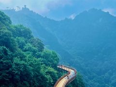 -少华山国家森林公园