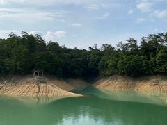 -广州市流溪河国家森林公园
