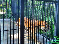 -广东茂名森林公园