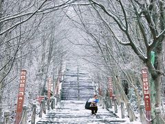 -九皇山景区
