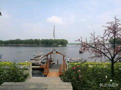 -白洋淀景区