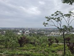 -白水寺森林公园