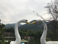 -西安秦岭野生动物园