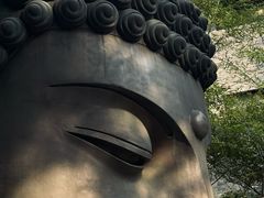 -杭州植物园