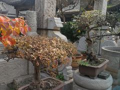 -大学习巷清真寺