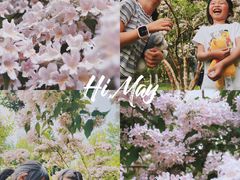 -中华世纪坛-停车场