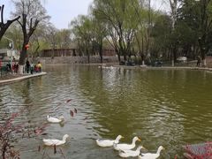 -西安市长乐公园