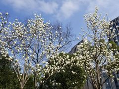 -无锡市市民中心