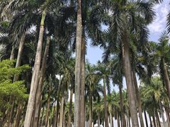 -南宁花花大世界景区