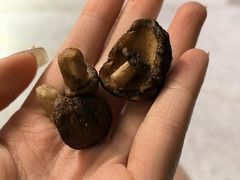 -滇野云南野生菌餐厅(陕西南路店)