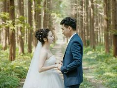 -黄海国家森林公园