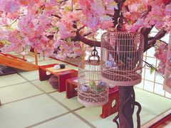 -汤泉良子(金源店)