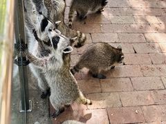 -水上乐园·欢乐世界