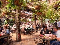 -The Grounds of Alexandria