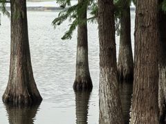 -重庆彩云湖湿地公园