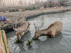 -溱湖国家湿地公园
