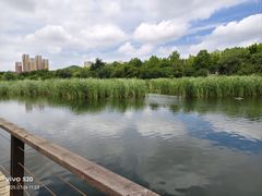 -前关湿地公园