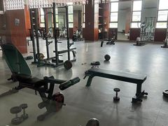 -临港奉贤体育中心