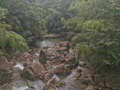 -四明山国家森林公园