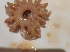 -桃源村铁锅炖鱼(体育馆道店)