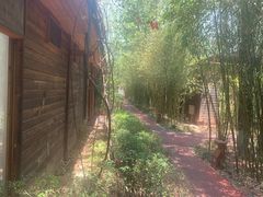 -阿斯牛牛十二餐厅•四季餐厅(民族大道店)